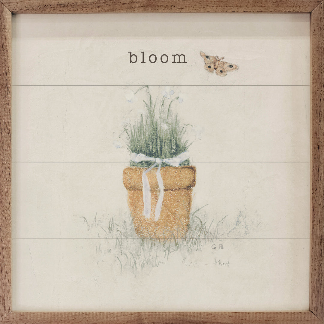 Grow, Thrive, and Bloom Garden Plants 4x4 3 Piece Set