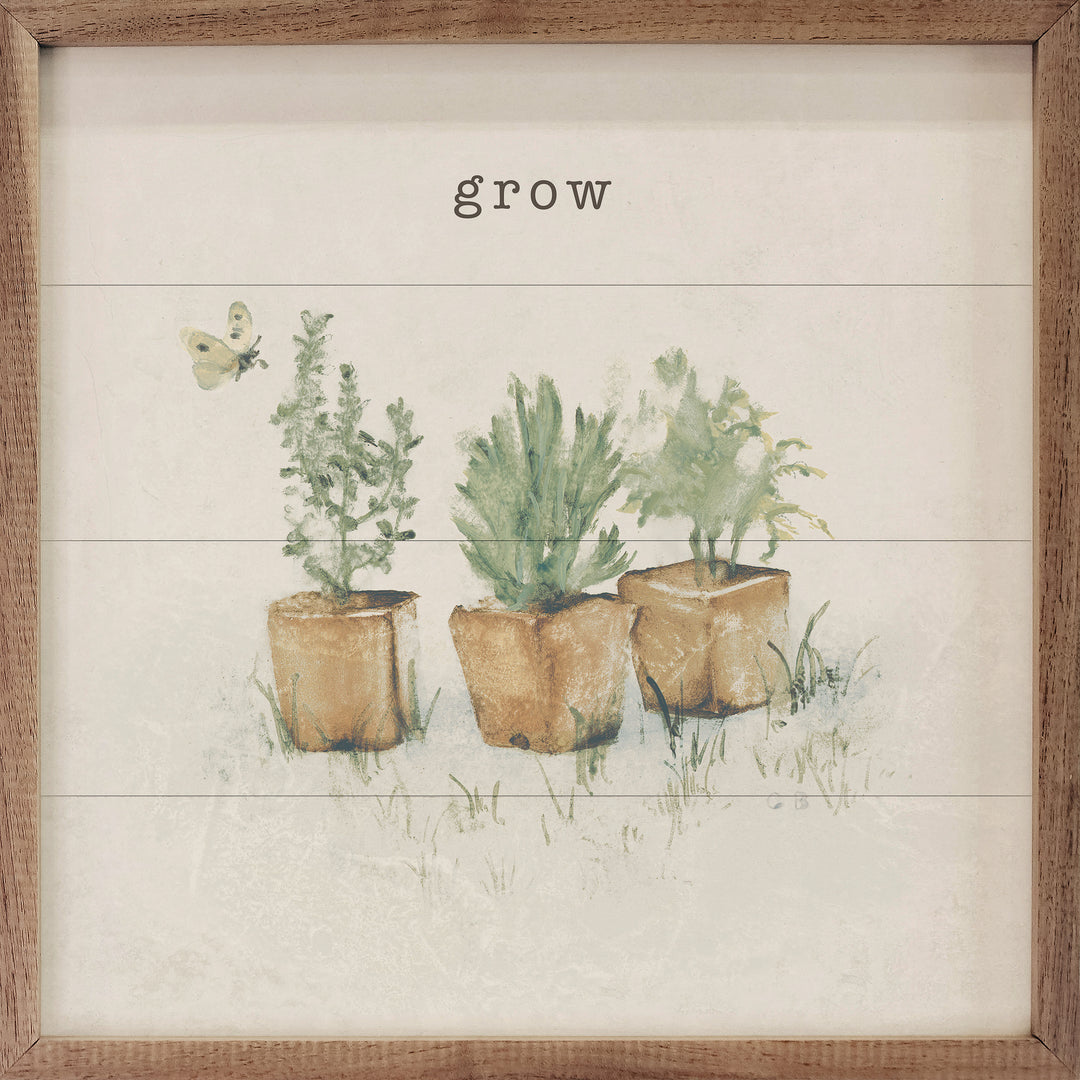 Grow, Thrive, and Bloom Garden Plants 4x4 3 Piece Set